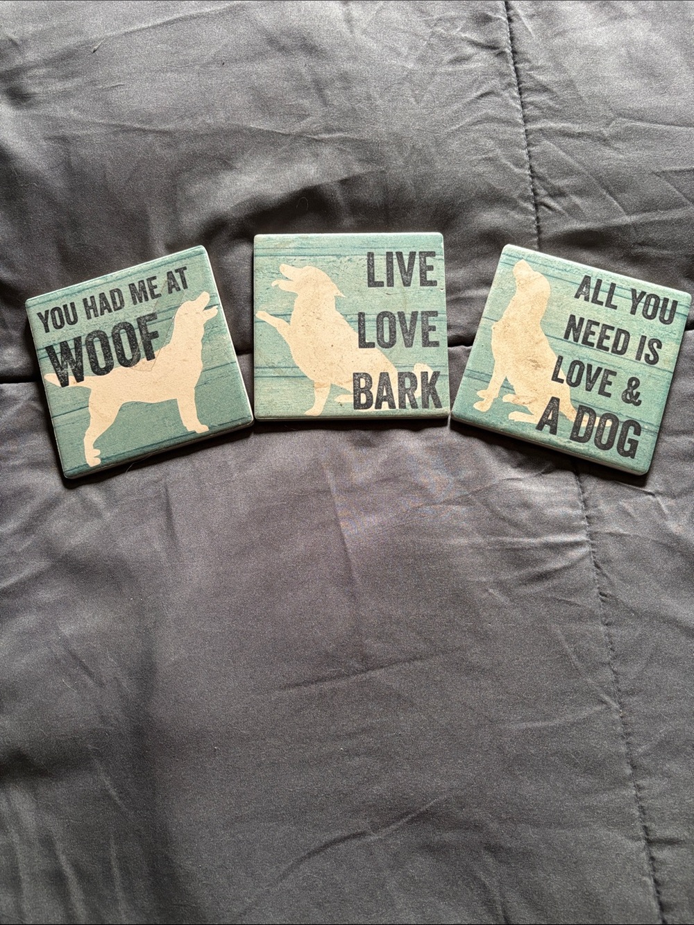 Set of 3 Labrador Themed Wooden Signs - Teal & Cream